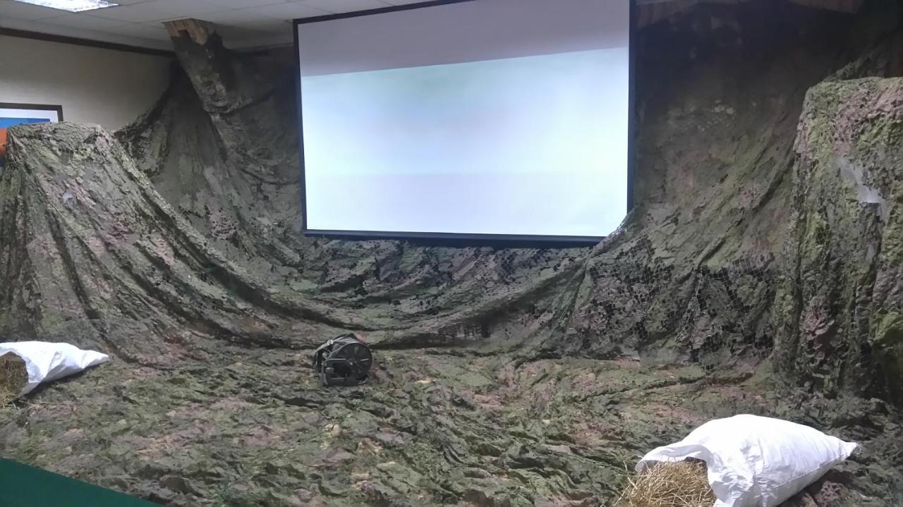 Hotel Niedzwiadek فدزيدزي كيشيفسكي المظهر الخارجي الصورة
